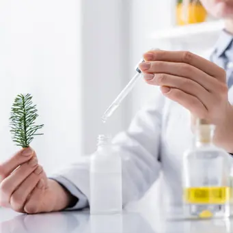 Cosmetic Ingredients
