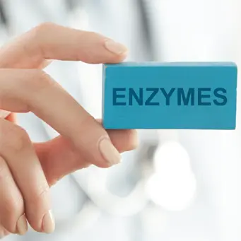 Enzymes
